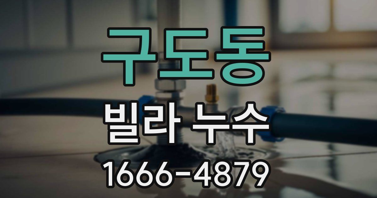 구도동 빌라 누수