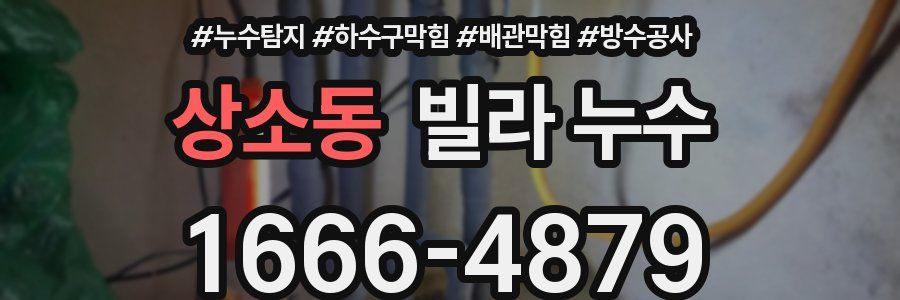 상소동 빌라 누수