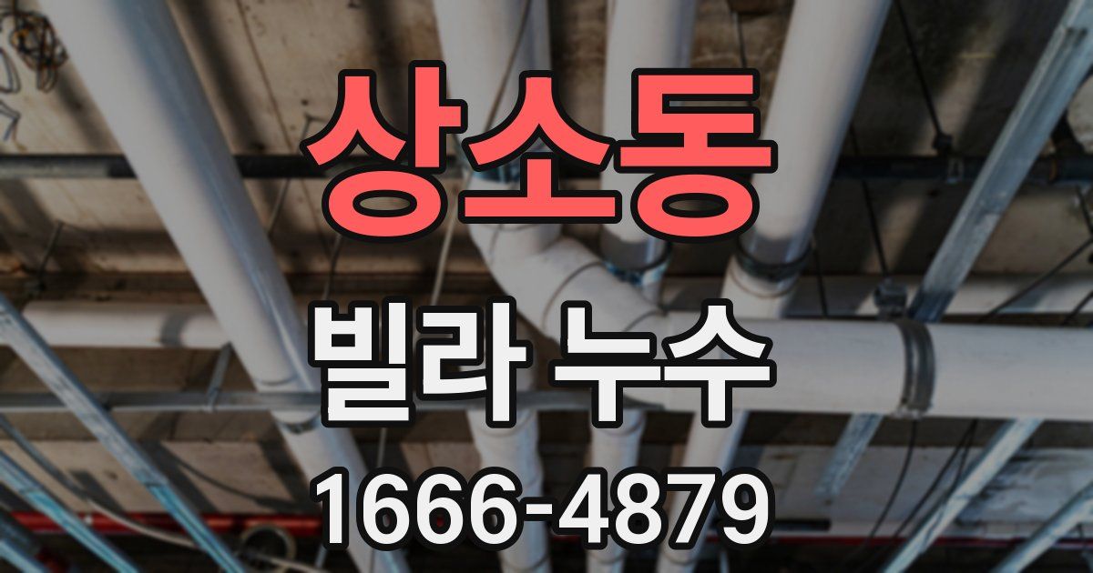상소동 빌라 누수