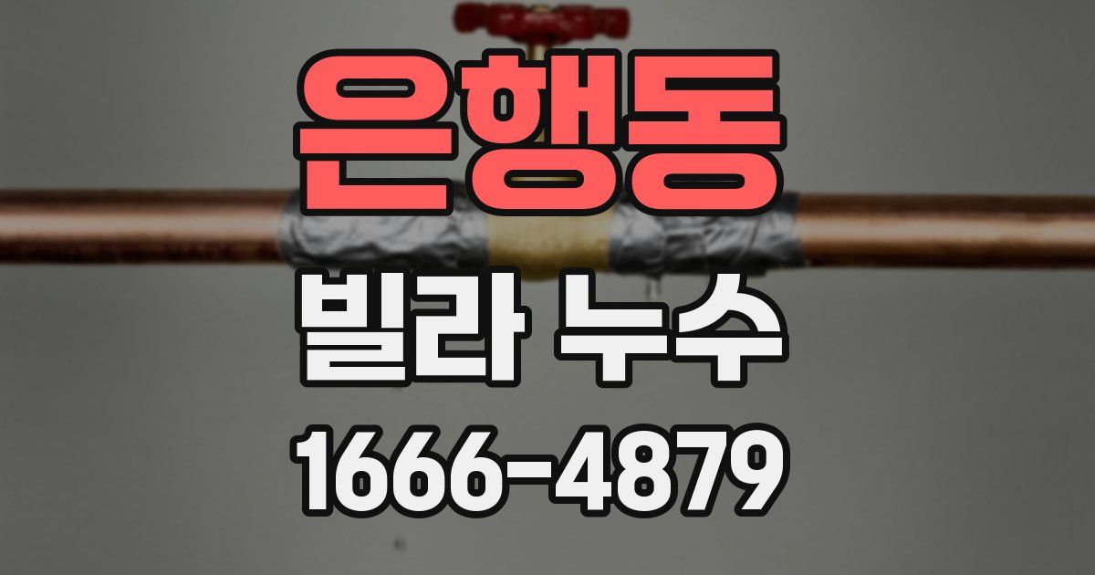 은행동 빌라 누수
