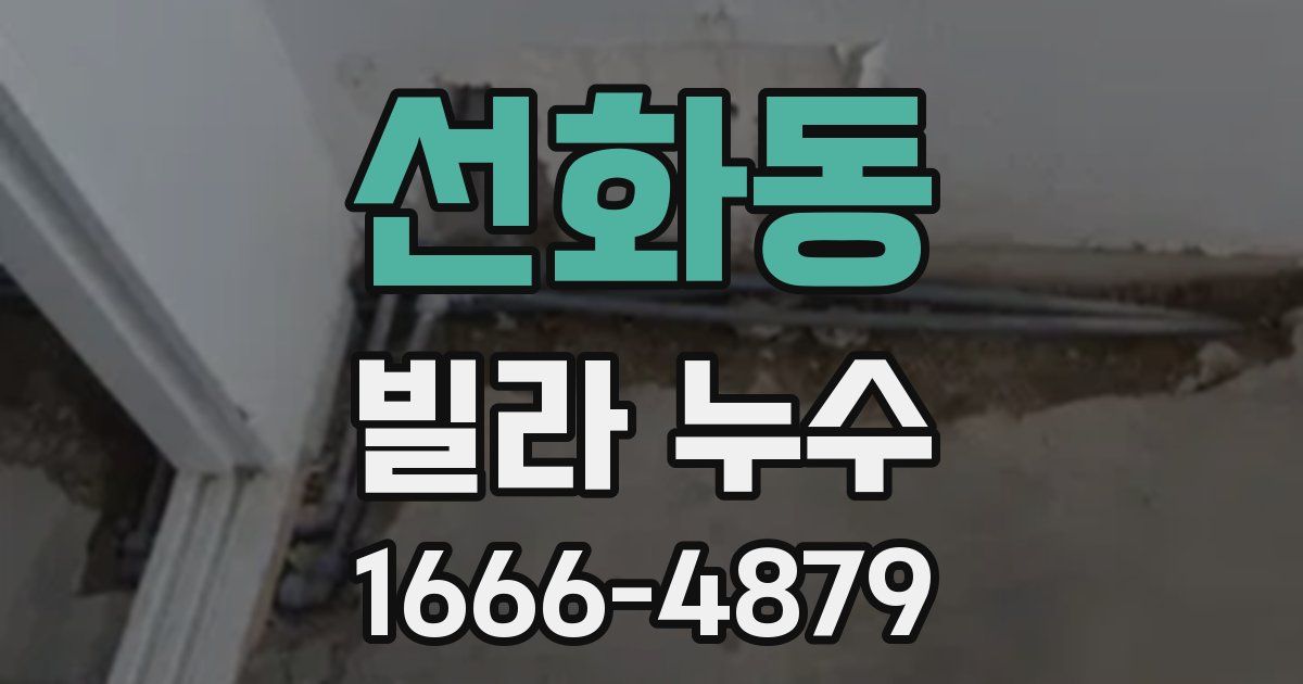 선화동 빌라 누수