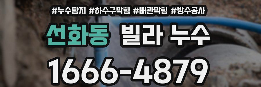 선화동 빌라 누수