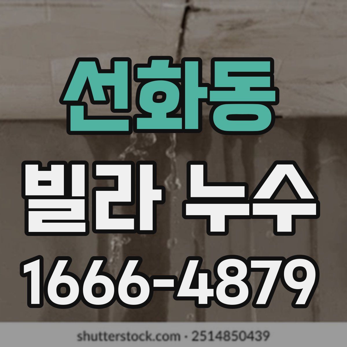 선화동 빌라 누수