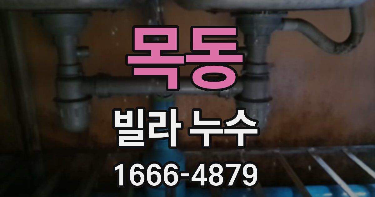 목동 빌라 누수