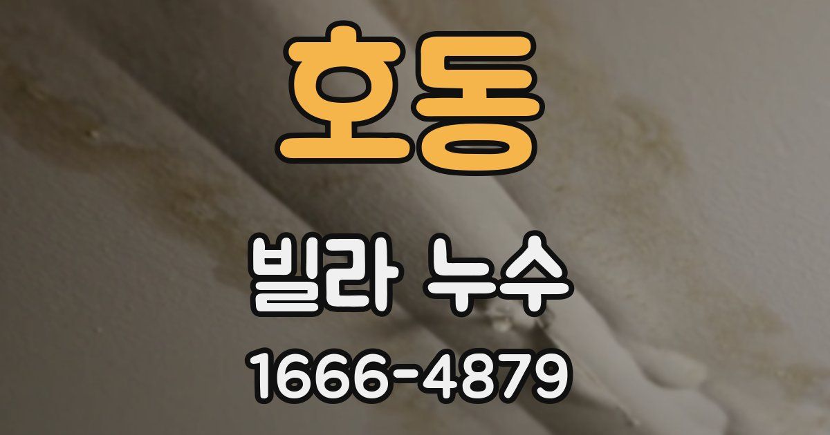 호동 빌라 누수