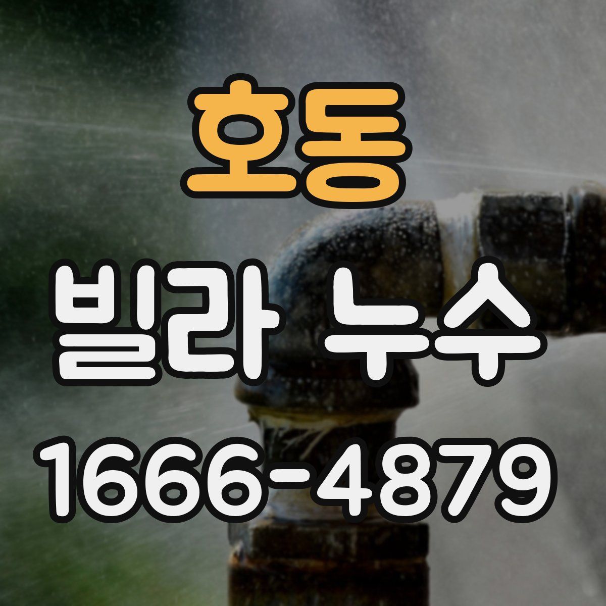 호동 빌라 누수