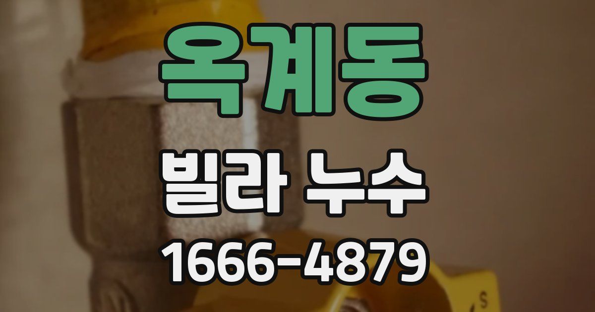 옥계동 빌라 누수