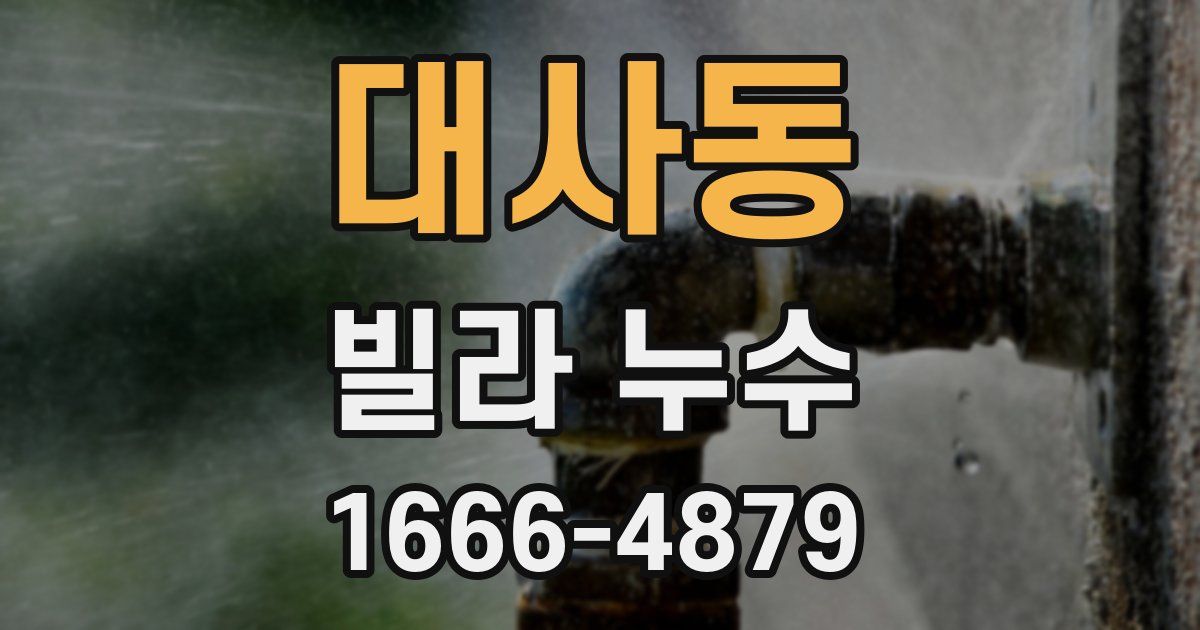 대사동 빌라 누수