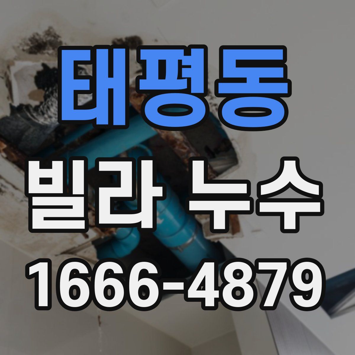 태평동 빌라 누수