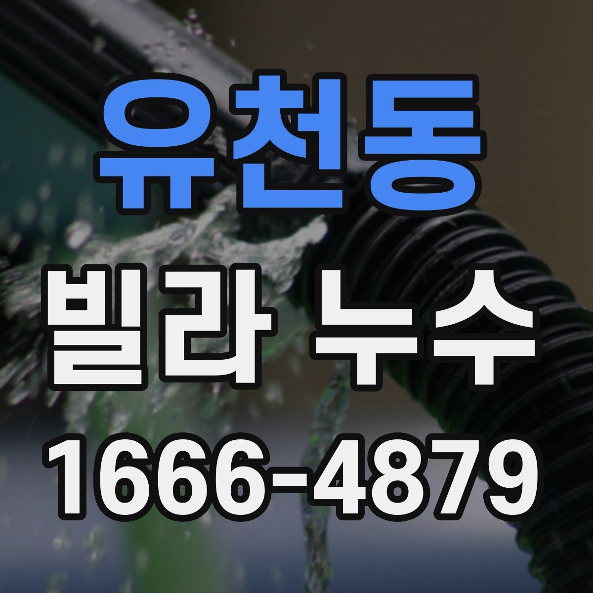 유천동 빌라 누수