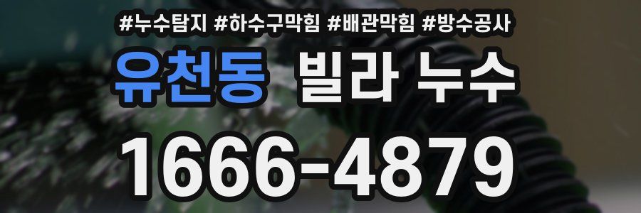 유천동 빌라 누수