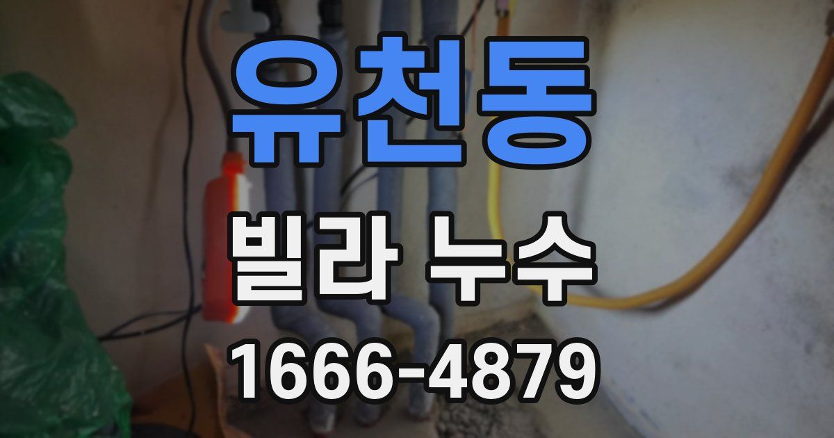 유천동 빌라 누수