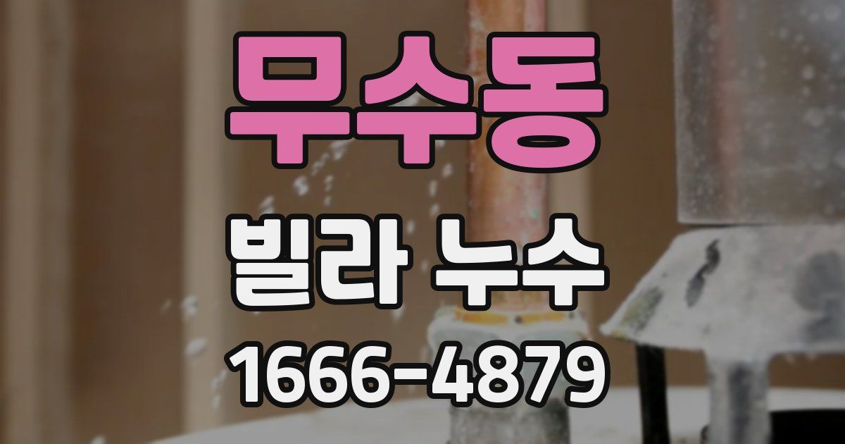 무수동 빌라 누수