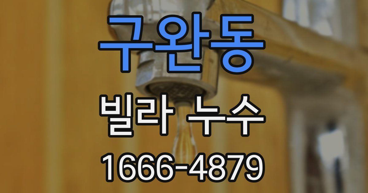 구완동 빌라 누수