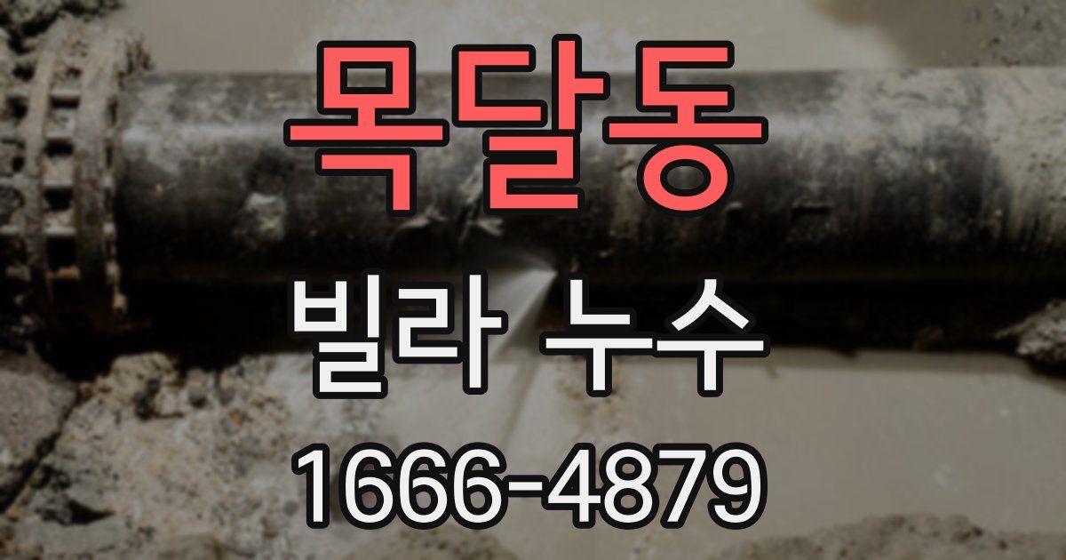 목달동 빌라 누수
