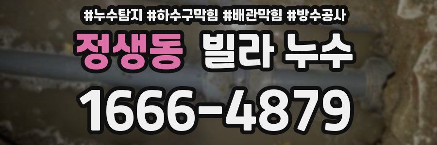 정생동 빌라 누수