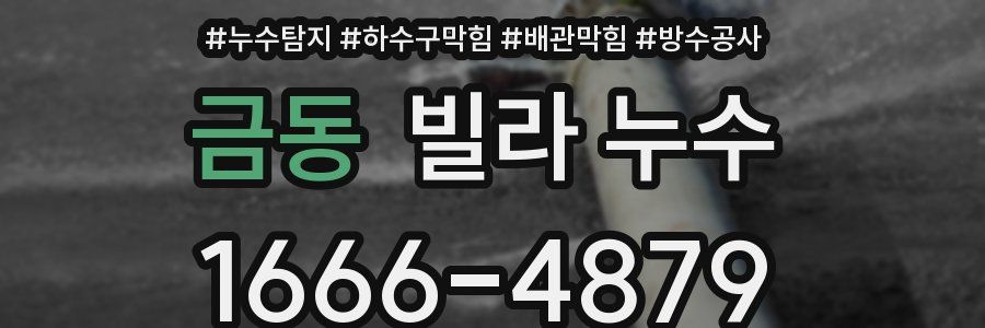 금동 빌라 누수