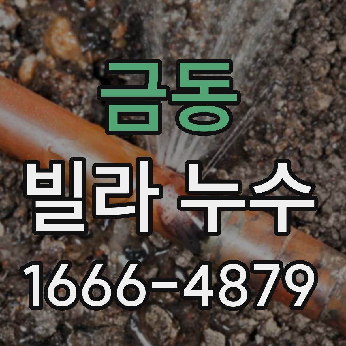 금동 빌라 누수