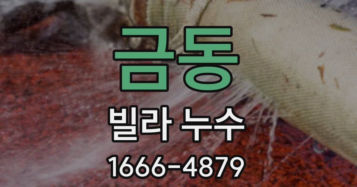 금동 빌라 누수