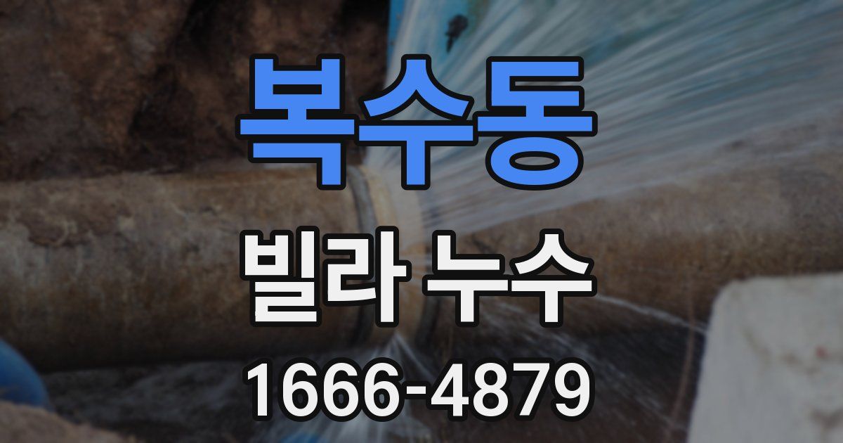 복수동 빌라 누수