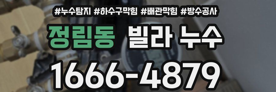 정림동 빌라 누수