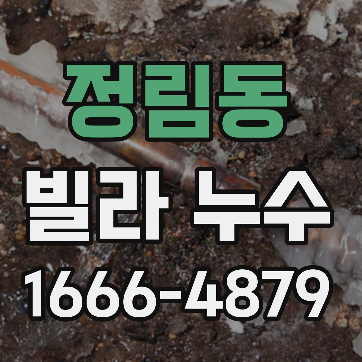 정림동 빌라 누수