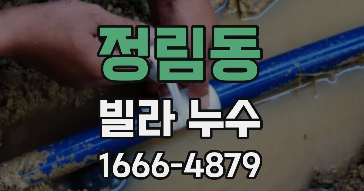 정림동 빌라 누수