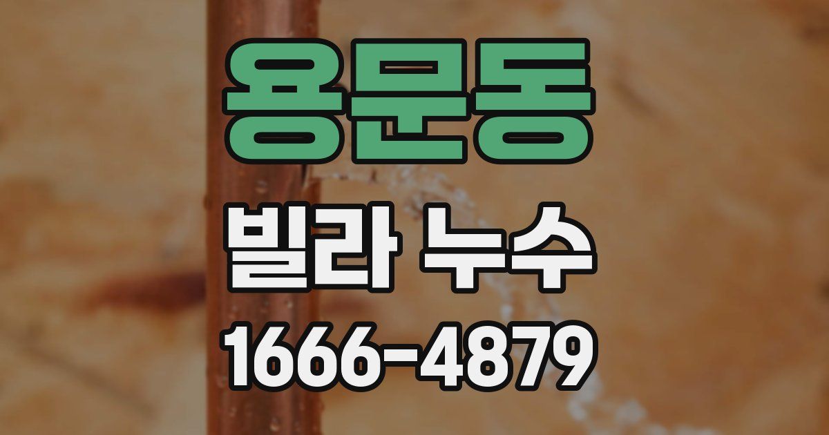 용문동 빌라 누수