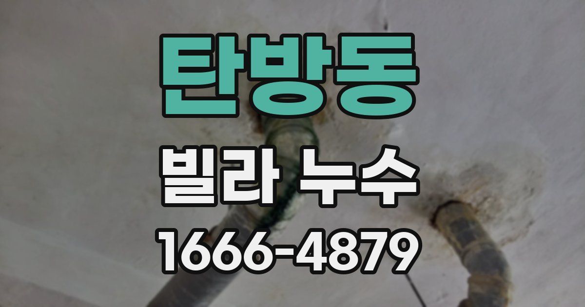 탄방동 빌라 누수