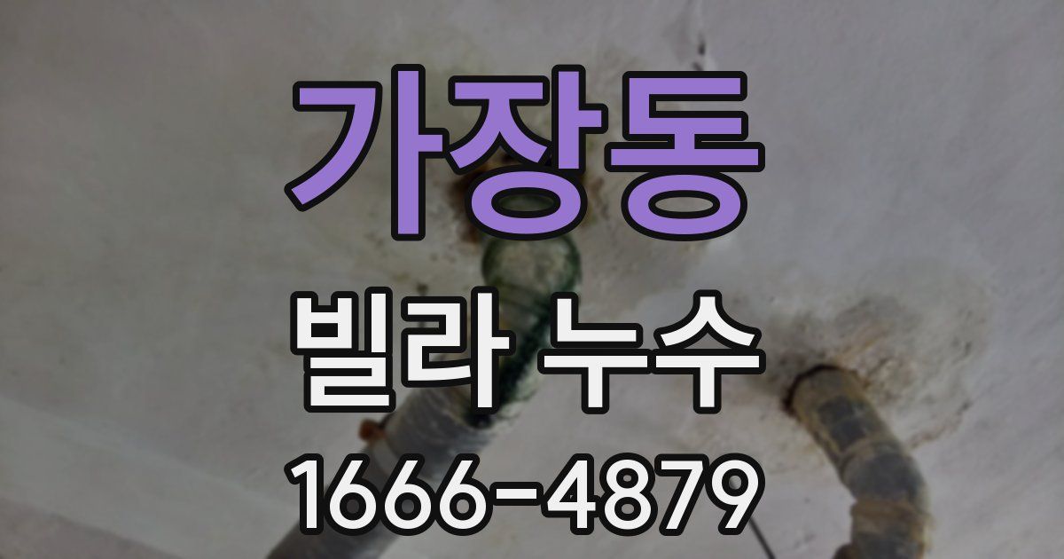 가장동 빌라 누수