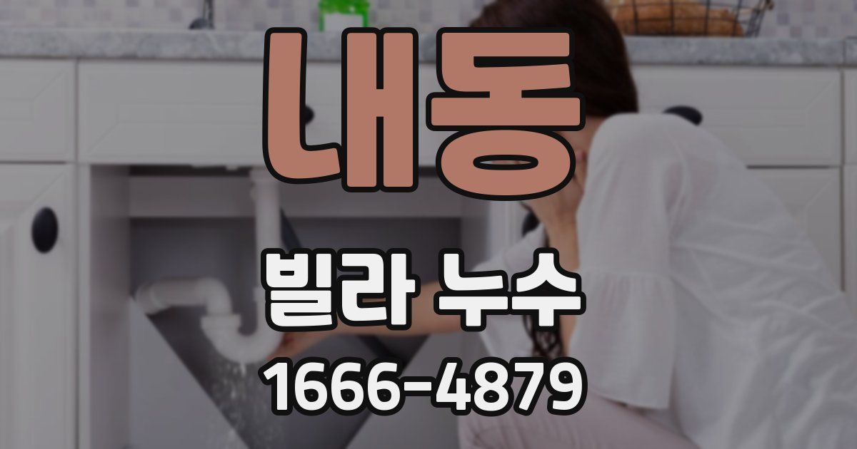 내동 빌라 누수
