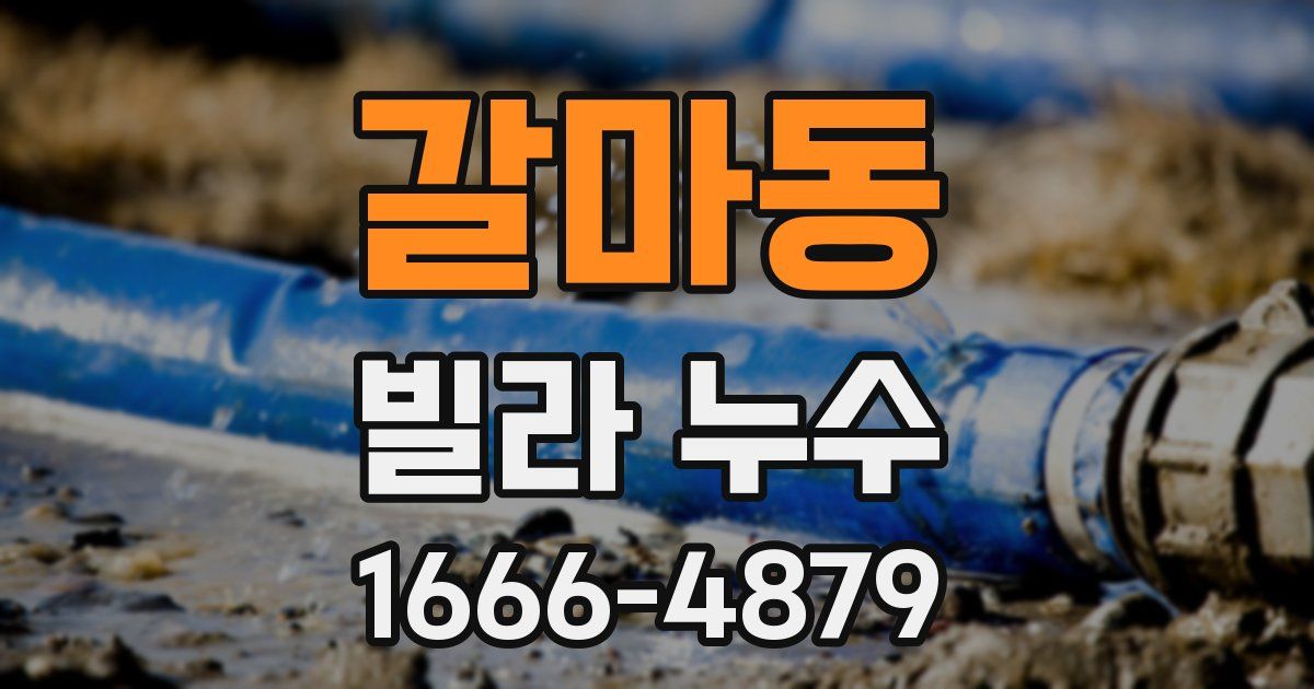 갈마동 빌라 누수