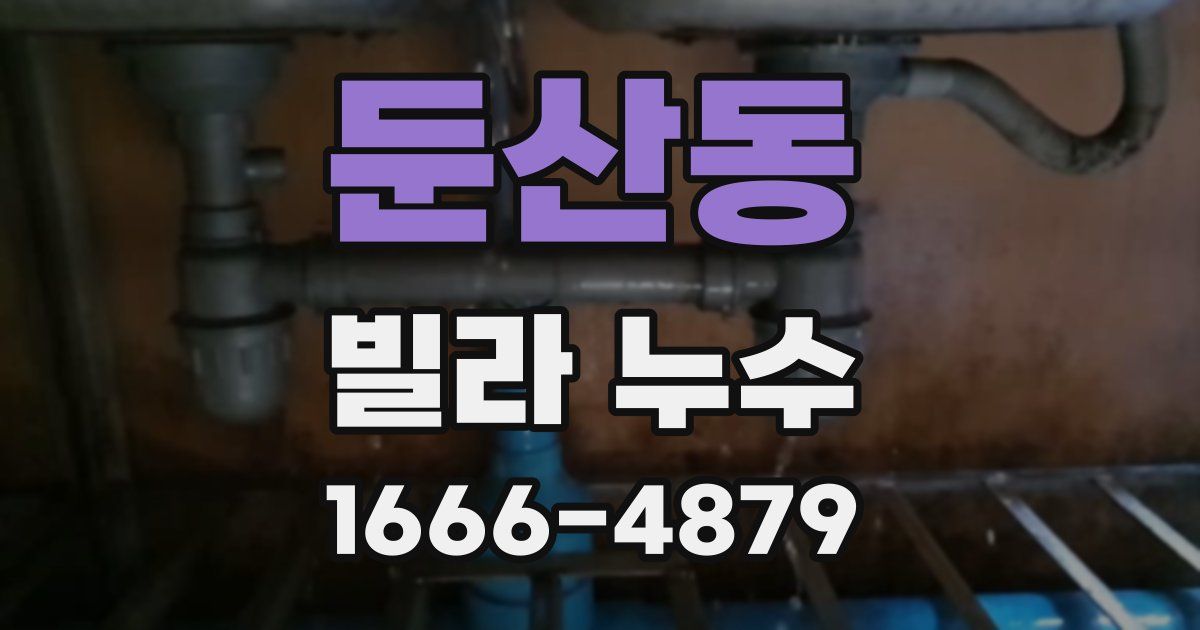 둔산동 빌라 누수