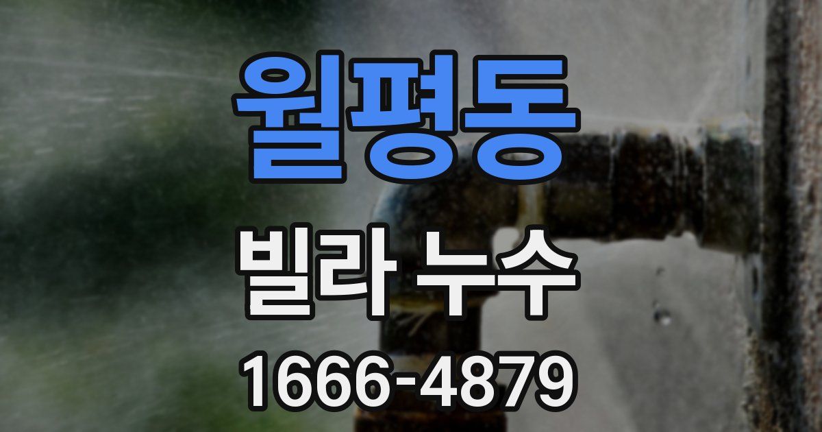 월평동 빌라 누수
