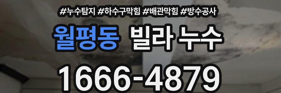 월평동 빌라 누수