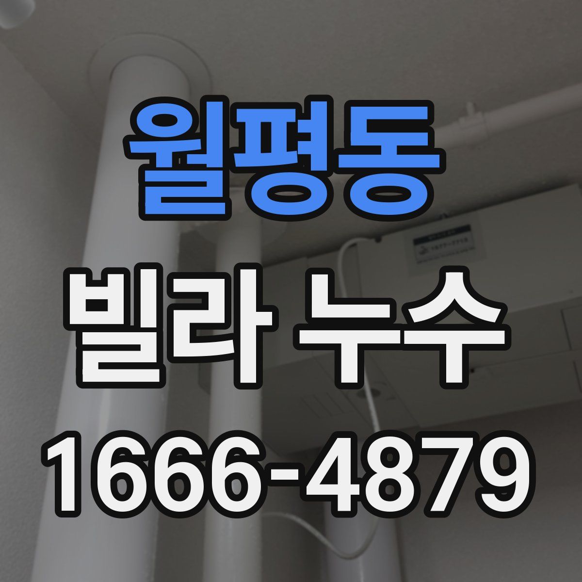 월평동 빌라 누수