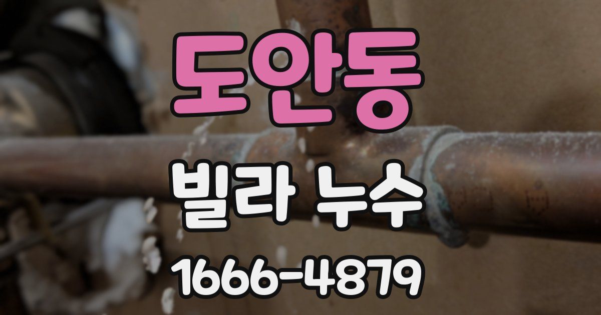 도안동 빌라 누수