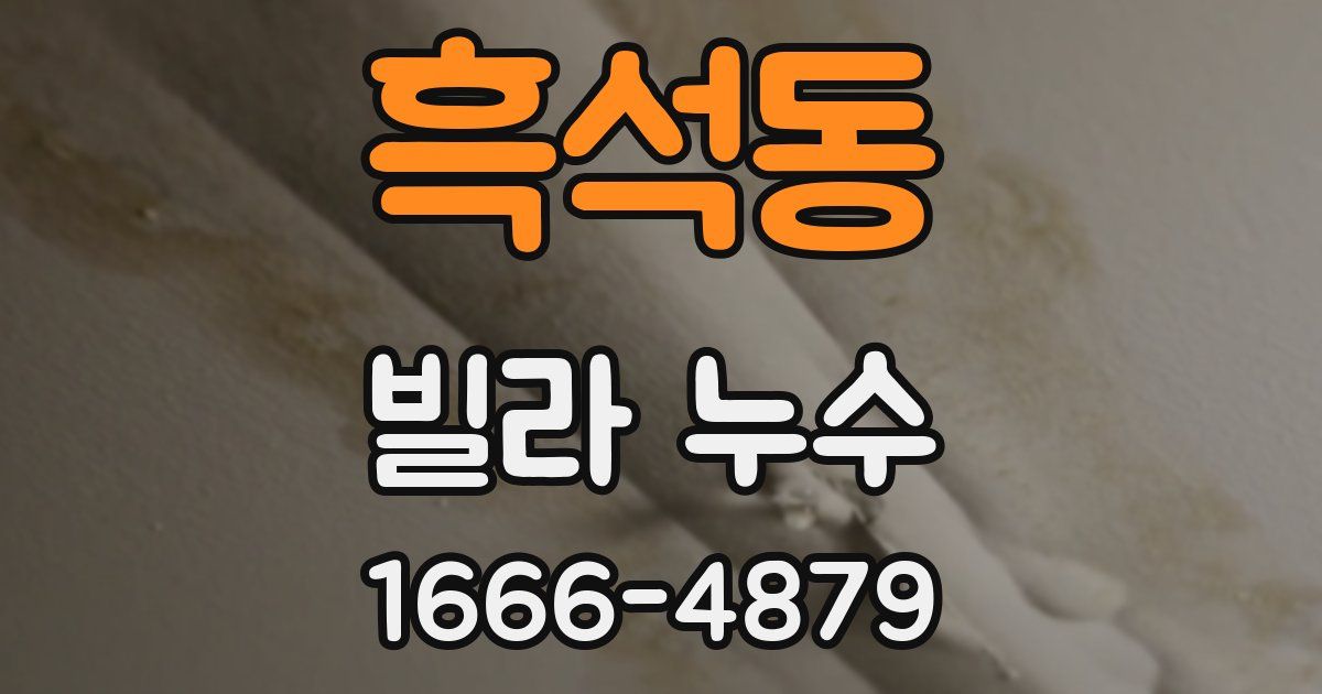 흑석동 빌라 누수