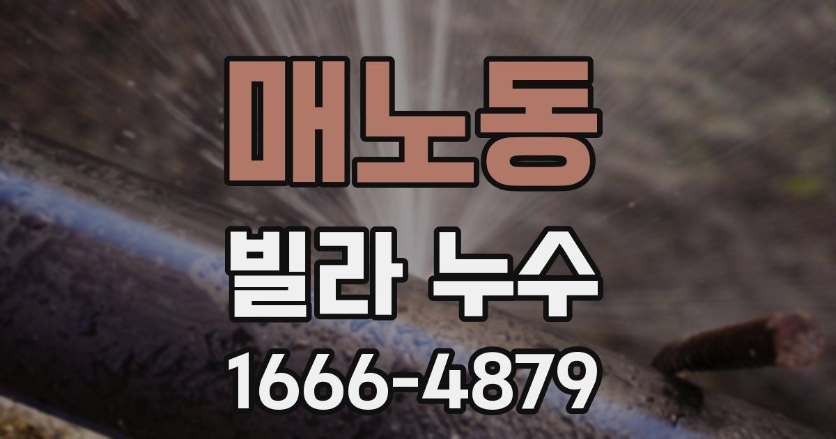 매노동 빌라 누수