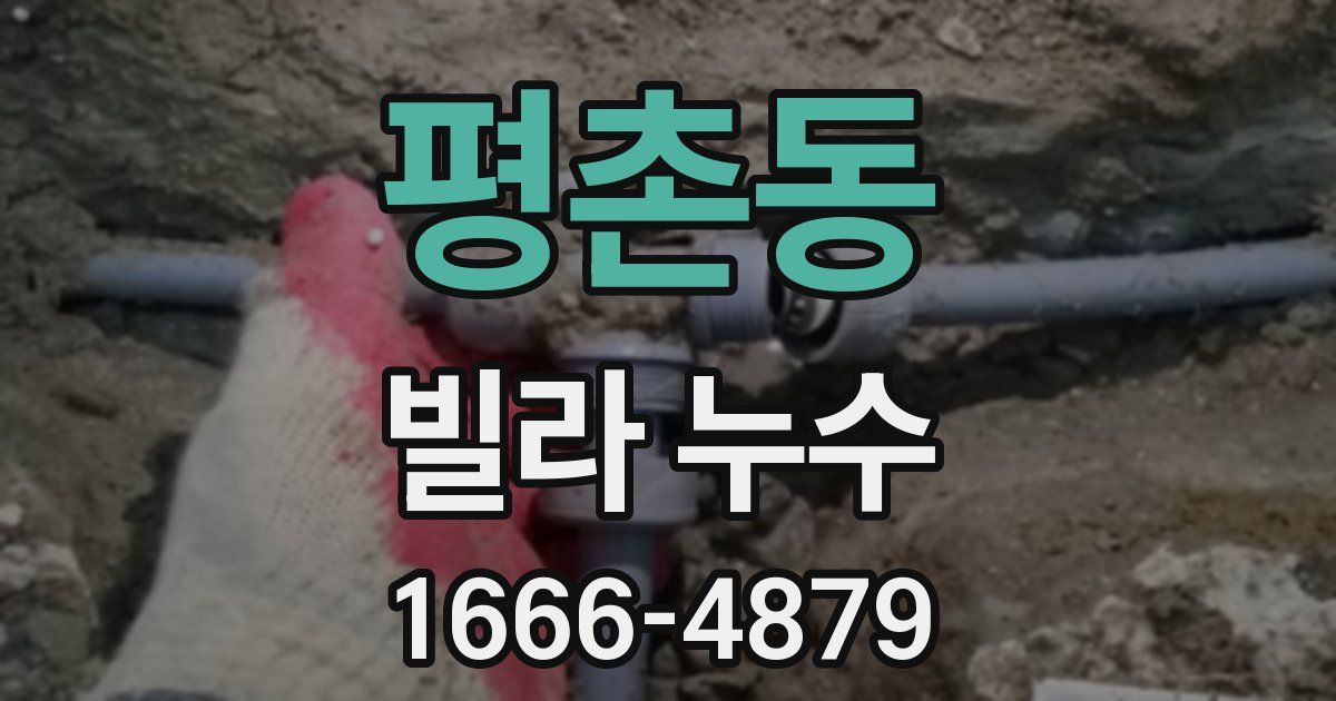 평촌동 빌라 누수