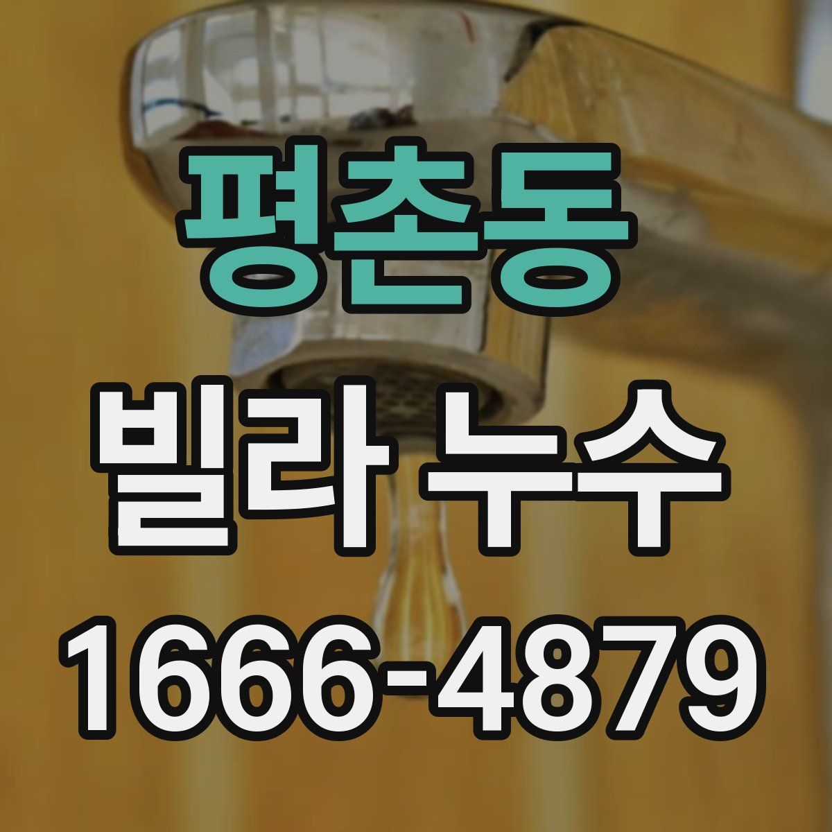 평촌동 빌라 누수
