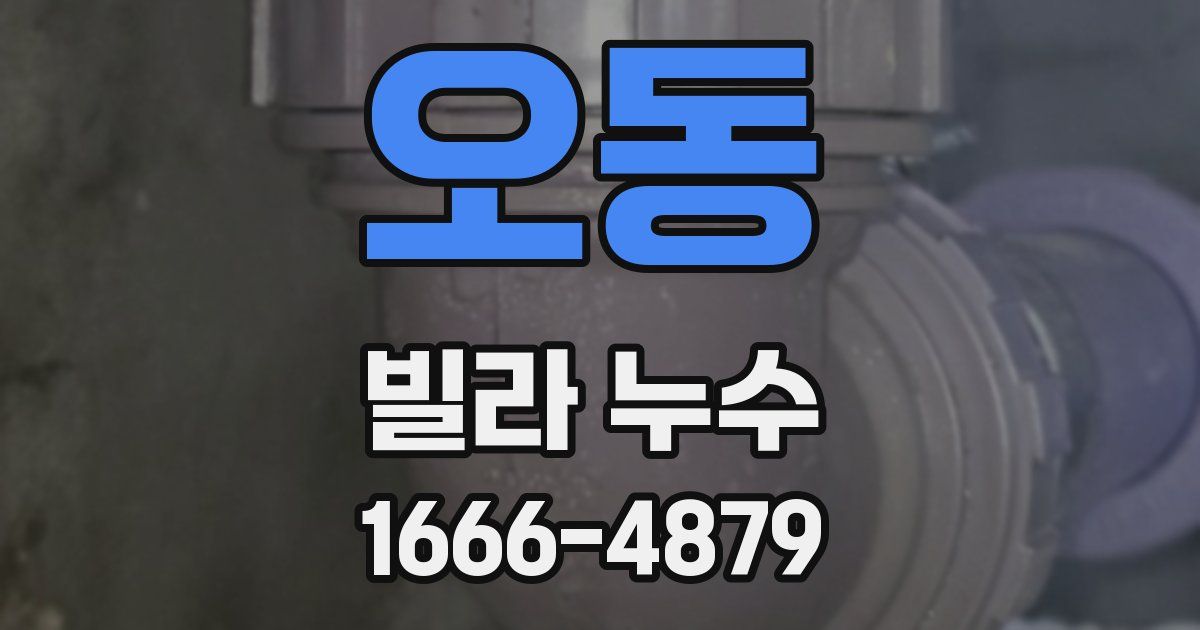 오동 빌라 누수