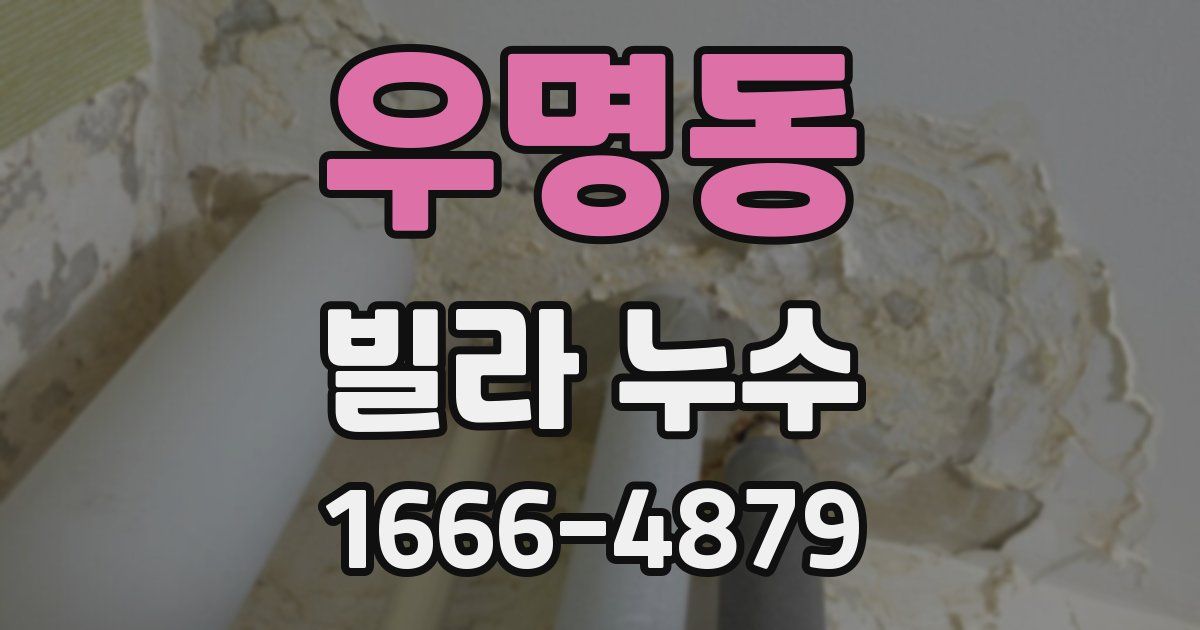 우명동 빌라 누수
