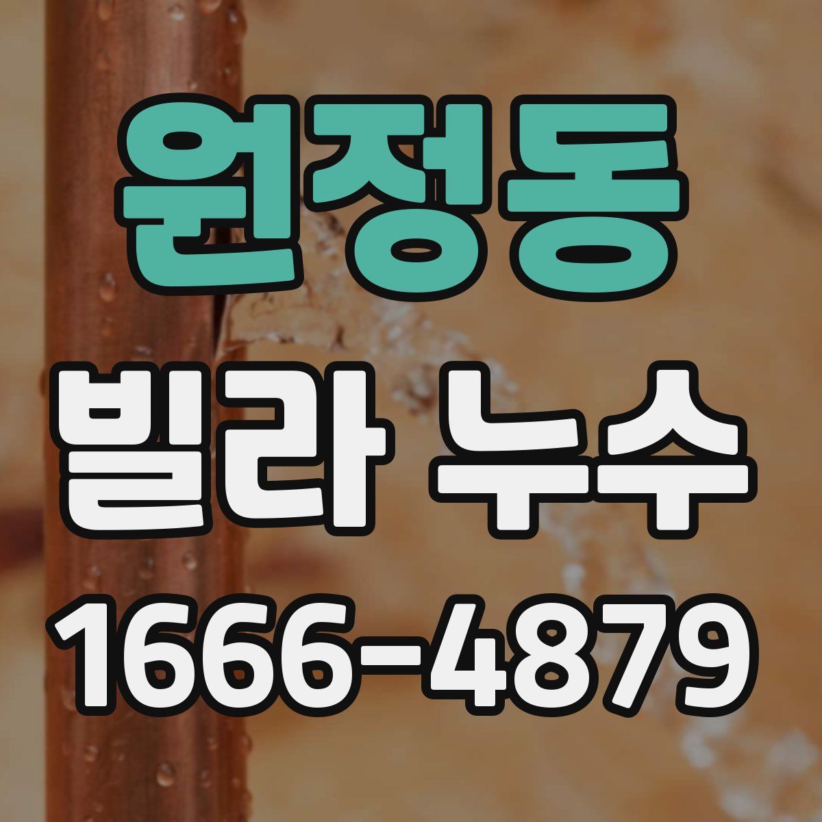 원정동 빌라 누수