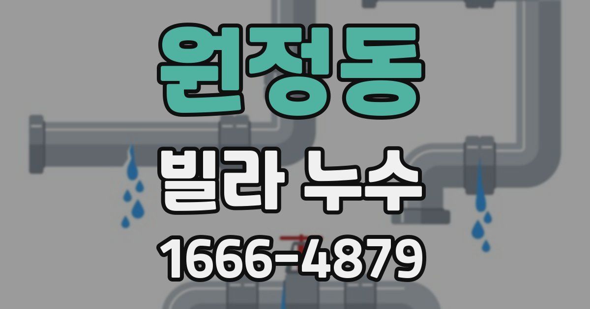 원정동 빌라 누수