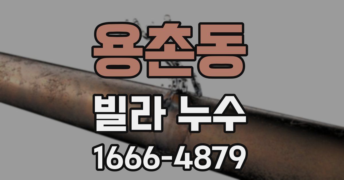 용촌동 빌라 누수