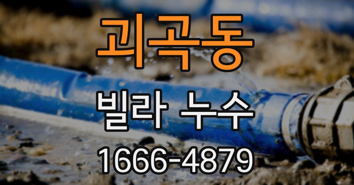괴곡동 빌라 누수