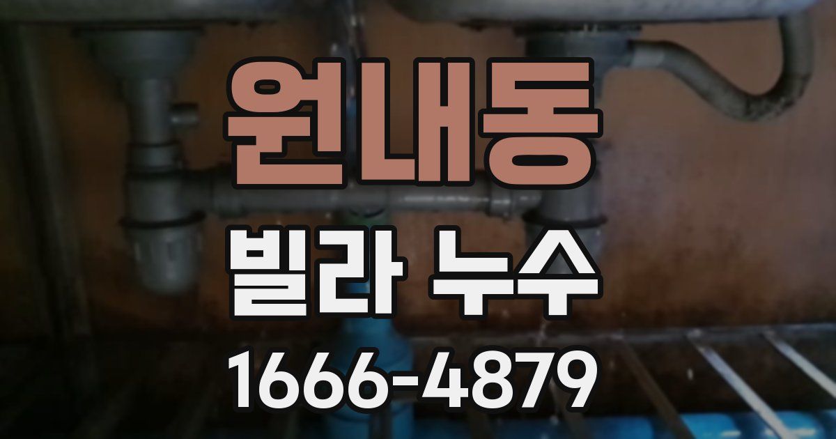 원내동 빌라 누수