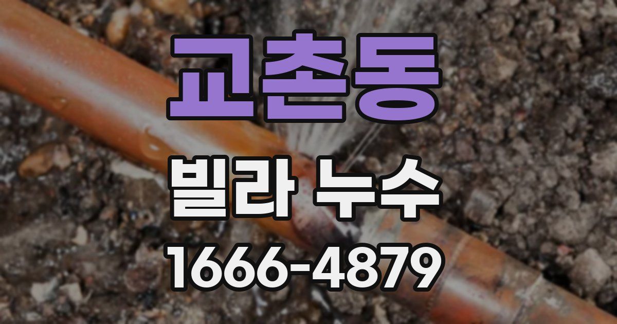 교촌동 빌라 누수
