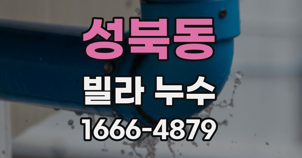 성북동 빌라 누수